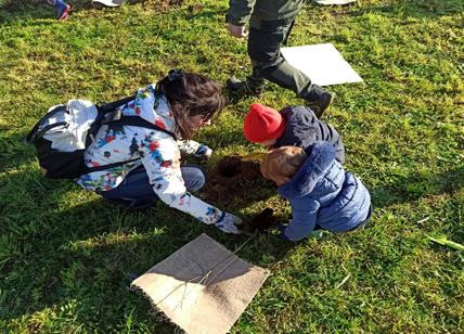 Forestami, dieci nuovi progetti di piantagione in arrivo in 9 Comuni della Città metropolitana