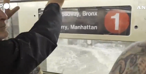 metro new york