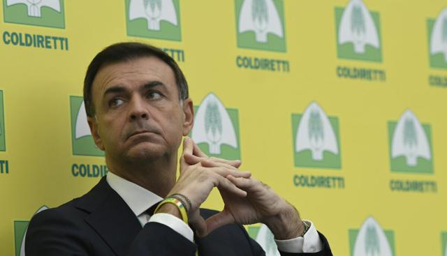 Antibiotici vietati in Ue e pesticidi, Prandini (Coldiretti) lancia l'allarme: "Mercosur? Dalla carne al riso: così importeremo prodotti che utilizzano agrofarmaci" 