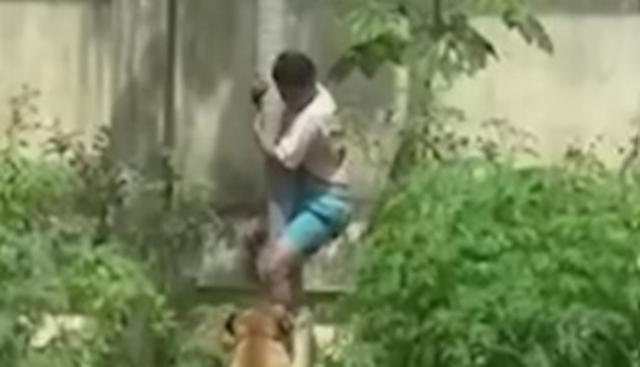 Uomo sbranato da un leone