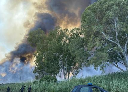La Puglia brucia, dal Gargano al Salento: mari di verde in fumo