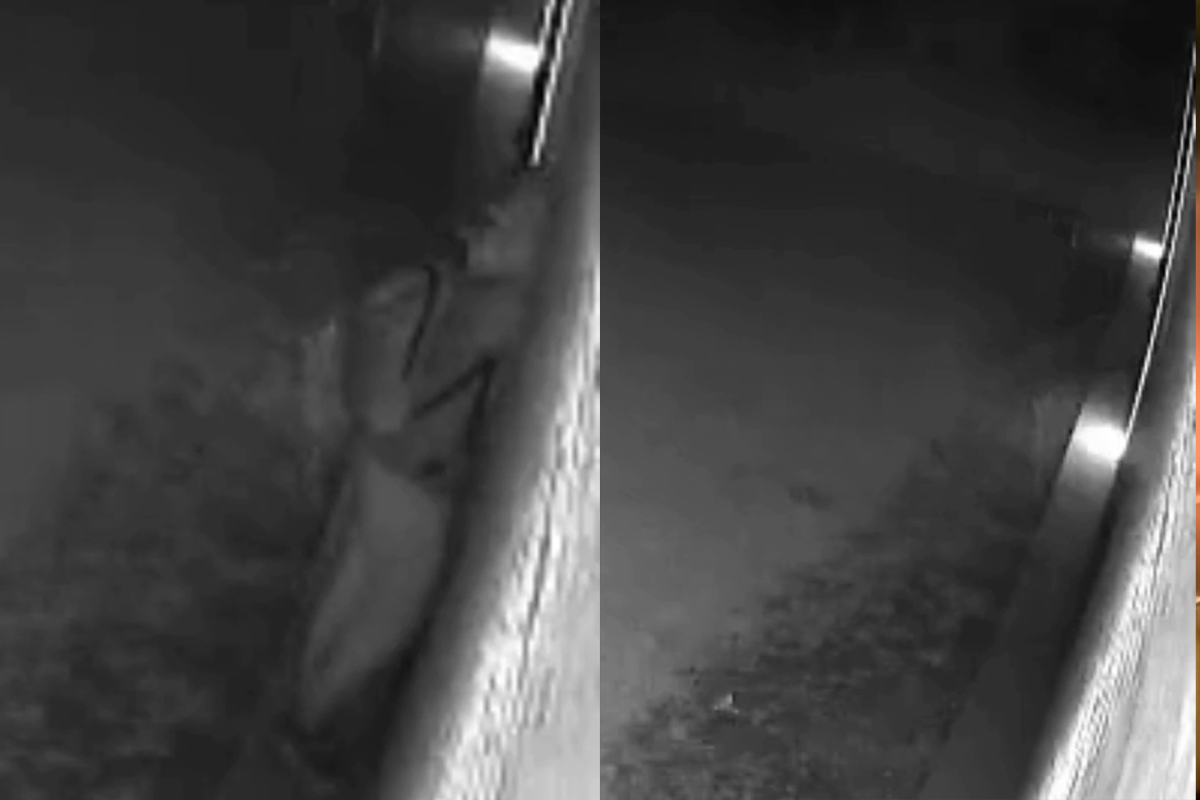 padova sente rumori nel giardino e affronta i ladri 14enne eroe salva la casa di famiglia le immagini del furto sventato