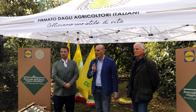 Giarre, Lidl racconta lâ€™avocado dellâ€™Etna: un modello di filiera italiana sostenibile