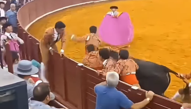Corrida, ennesima tragedia a Lisbona: morto torero di 22 anni