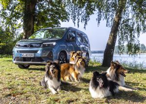Opel Combo Electric: multispazio dog-friendly per la famiglia