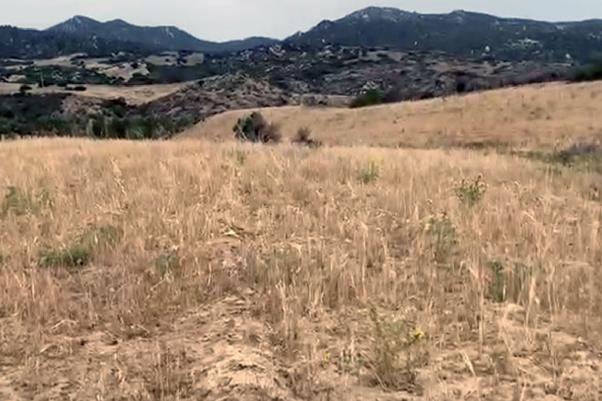 https://www.affaritaliani.it/static/upl2025/osse/osservatorio-anbi--sardegna.png