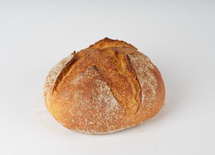 Food, la pagnotta di Altamura Oropan premiata a Anuga 2025