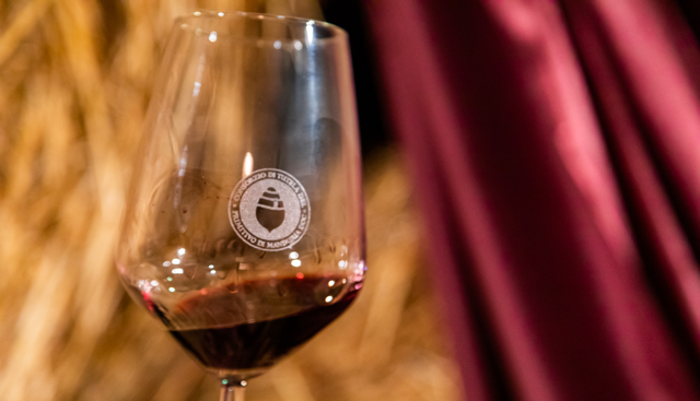 Primitivo di Manduria, al via il tour estivo in Puglia tra eventi e degustazioni
