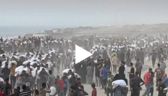 Gaza, caos per un sacco di farina: si diffonde la "carestia di massa" | VIDEO