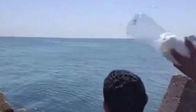 Gli egiziani lanciano in mare bottiglie piene di cibo per Gaza Gli egiziani lanciano in mare bottiglie piene di cibo per Gaza
