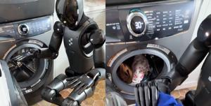 robot