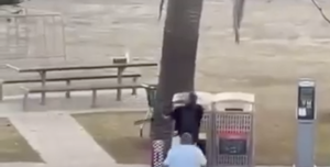 Screenshot 2025 12 14 alle 10.55.38