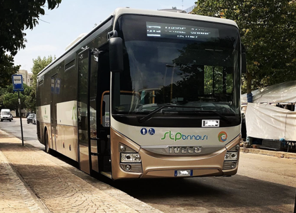 Brindisi, è allarme sicurezza: due autobus del trasporto pubblico presi a sassate