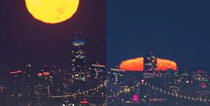 sidney