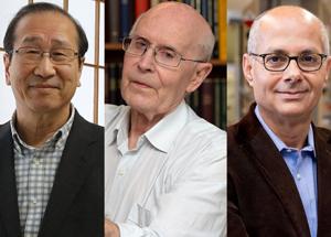 Il Nobel 2025 per la Chimica va a Kitagawa, Robson e Yaghi "per lo sviluppo di strutture metallo-organiche"