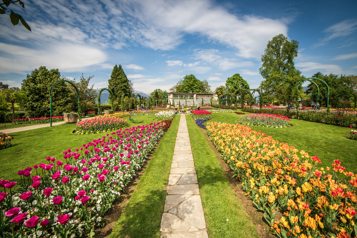 Terre Borromeo Parco Pallavicino distesa tulipani Terre Borromeo Parco Pallavicino distesa tulipani