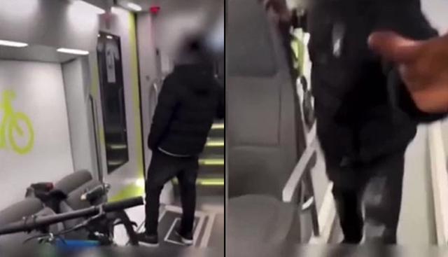Modella aggredita sul treno per Milano, il video completo. IMMAGINI FORTI