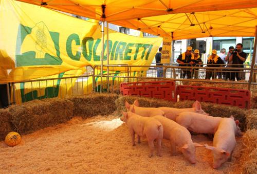 Coldiretti in Piazza Affari 6 Coldiretti in Piazza Affari 6