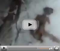 video alieni