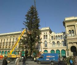 Natale, da Pandora l'unica offerta per l'albero in Piazza del Duomo