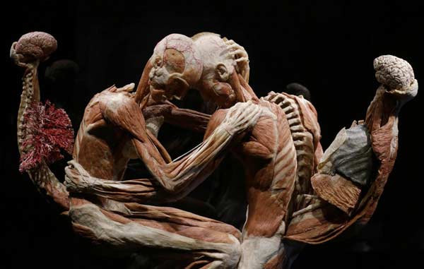 Body Worlds dottor morte 1 Body Worlds dottor morte 1