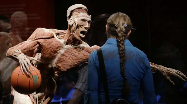 Body Worlds dottor morte 2 Body Worlds dottor morte 2
