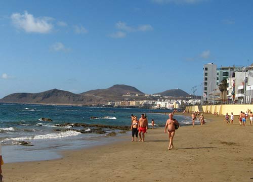 canarie 500 canarie 500
