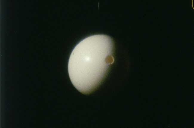 Eye Eclipse, 2007 Eye Eclipse, 2007