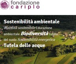 fondazione cariplo (1) fondazione cariplo (1)