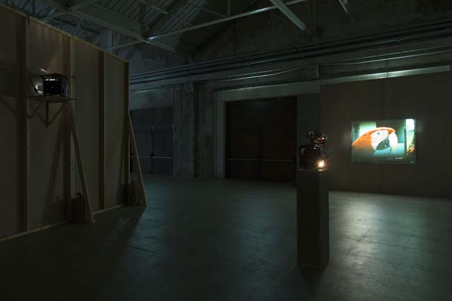 João Maria Gusmão + Pedro Paiva Papagaio Installation views Fondazione HangarBicocca, 2014 Photo by Agostino Osio Courtesy Fondazione HangarBicocca João Maria Gusmão + Pedro Paiva Papagaio Installation views Fondazione HangarBicocca, 2014 Photo by Agostino Osio Courtesy Fondazione HangarBicocca