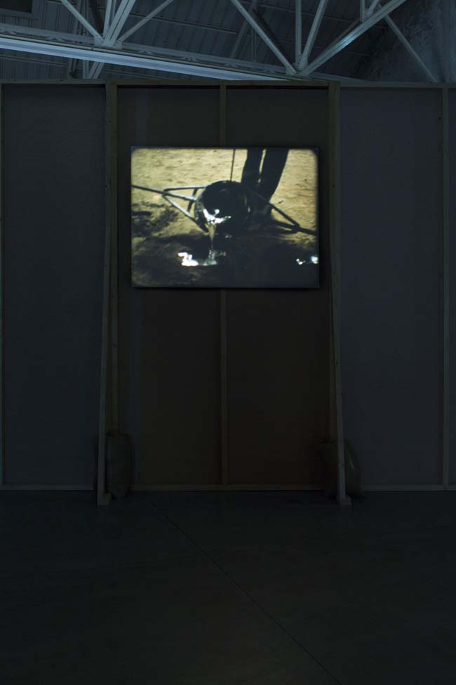 João Maria Gusmão + Pedro Paiva Papagaio Installation views Fondazione HangarBicocca, 2014 Photo by Agostino Osio Courtesy Fondazione HangarBicocca João Maria Gusmão + Pedro Paiva Papagaio Installation views Fondazione HangarBicocca, 2014 Photo by Agostino Osio Courtesy Fondazione HangarBicocca