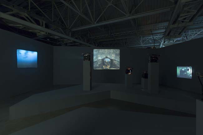 João Maria Gusmão + Pedro Paiva Papagaio Installation views Fondazione HangarBicocca, 2014 Photo by Agostino Osio Courtesy Fondazione HangarBicocca João Maria Gusmão + Pedro Paiva Papagaio Installation views Fondazione HangarBicocca, 2014 Photo by Agostino Osio Courtesy Fondazione HangarBicocca