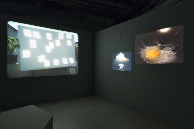 João Maria Gusmão + Pedro Paiva Papagaio Installation views Fondazione HangarBicocca, 2014 Photo by Agostino Osio Courtesy Fondazione HangarBicocca João Maria Gusmão + Pedro Paiva Papagaio Installation views Fondazione HangarBicocca, 2014 Photo by Agostino Osio Courtesy Fondazione HangarBicocca