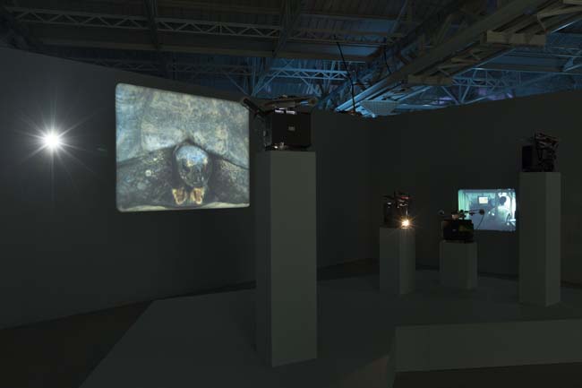 João Maria Gusmão + Pedro Paiva Papagaio Installation views Fondazione HangarBicocca, 2014 Photo by Agostino Osio Courtesy Fondazione HangarBicocca João Maria Gusmão + Pedro Paiva Papagaio Installation views Fondazione HangarBicocca, 2014 Photo by Agostino Osio Courtesy Fondazione HangarBicocca