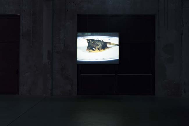 João Maria Gusmão + Pedro Paiva Papagaio Installation views Fondazione HangarBicocca, 2014 Photo by Agostino Osio Courtesy Fondazione HangarBicocca João Maria Gusmão + Pedro Paiva Papagaio Installation views Fondazione HangarBicocca, 2014 Photo by Agostino Osio Courtesy Fondazione HangarBicocca
