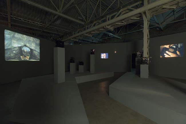 João Maria Gusmão + Pedro Paiva Papagaio Installation views Fondazione HangarBicocca, 2014 Photo by Agostino Osio Courtesy Fondazione HangarBicocca João Maria Gusmão + Pedro Paiva Papagaio Installation views Fondazione HangarBicocca, 2014 Photo by Agostino Osio Courtesy Fondazione HangarBicocca