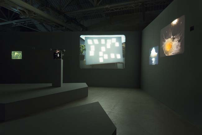 João Maria Gusmão + Pedro Paiva Papagaio Installation views Fondazione HangarBicocca, 2014 Photo by Agostino Osio Courtesy Fondazione HangarBicocca João Maria Gusmão + Pedro Paiva Papagaio Installation views Fondazione HangarBicocca, 2014 Photo by Agostino Osio Courtesy Fondazione HangarBicocca