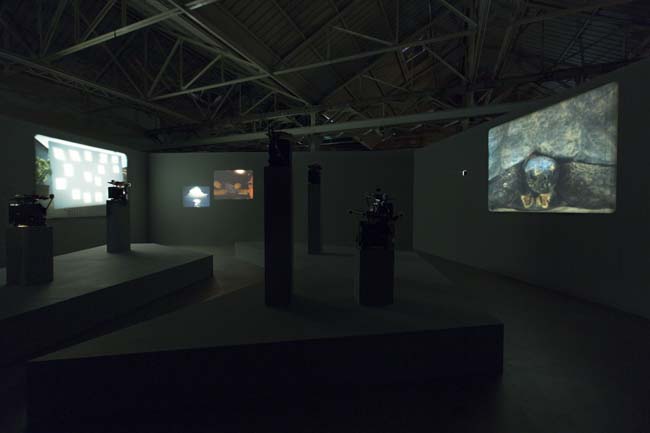 João Maria Gusmão + Pedro Paiva Papagaio Installation views Fondazione HangarBicocca, 2014 Photo by Agostino Osio Courtesy Fondazione HangarBicocca João Maria Gusmão + Pedro Paiva Papagaio Installation views Fondazione HangarBicocca, 2014 Photo by Agostino Osio Courtesy Fondazione HangarBicocca