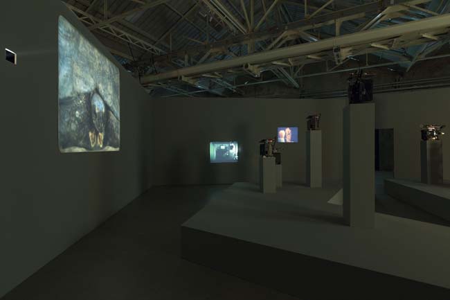 João Maria Gusmão + Pedro Paiva Papagaio Installation views Fondazione HangarBicocca, 2014 Photo by Agostino Osio Courtesy Fondazione HangarBicocca João Maria Gusmão + Pedro Paiva Papagaio Installation views Fondazione HangarBicocca, 2014 Photo by Agostino Osio Courtesy Fondazione HangarBicocca