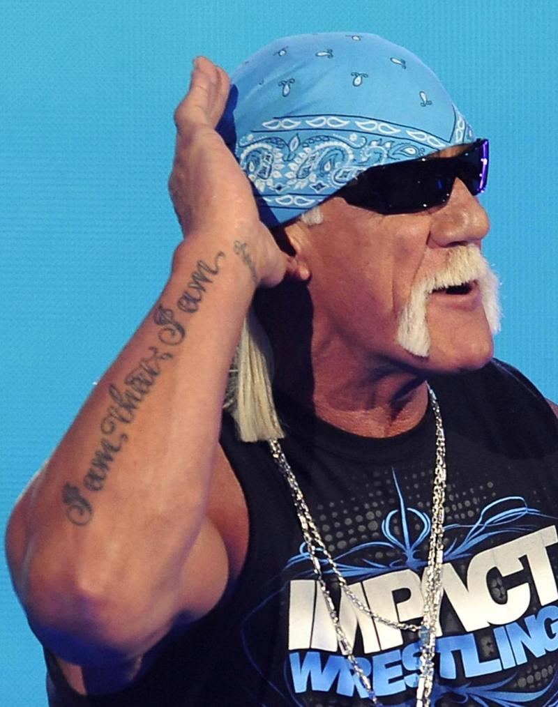hulk hogan hulk hogan