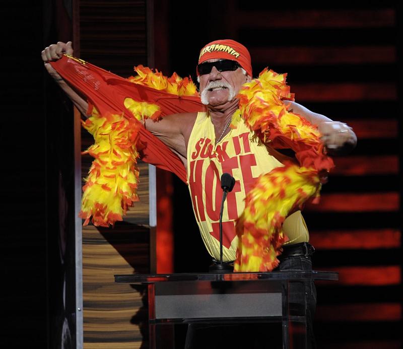 hulk hogan hulk hogan