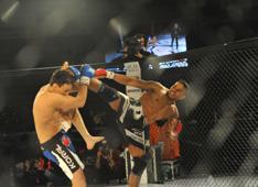 mma mma