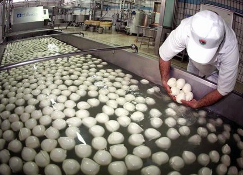 mozzarella caseificio 800