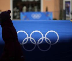 Olimpiadi invernali in Russia, a Sochi è strage di cani randagi