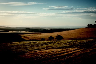 Paesaggio vicino Siviglia Paesaggio vicino Siviglia