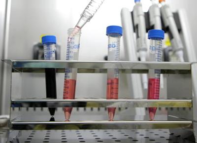 Tumori: ritrovato scheletro di un malato di cancro di 3200 anni fa