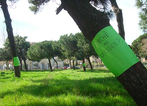 Roma, la promessa della Raggi: rilanciare i Punti Verdi dopo il caos bilancio