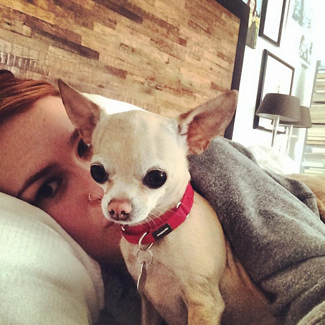Rumer Willis Rumer Willis