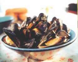 cozze