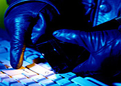Cyber-ladri computer